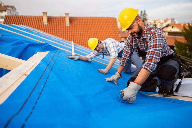 Best Flat Roof Repair Services  in Maysville, OK