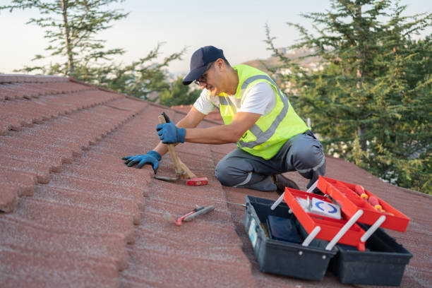 Best Roof Gutter Cleaning  in Maysville, OK