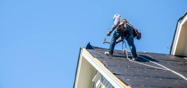 Best Roof Repair Services  in Maysville, OK